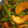 ange216's cooksnap of when they made いんげんとベーコンのオイスター炒め.