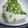 ユーロン's cooksnap of when they made たっぷりﾈｷﾞで冷奴＊ごま油だいすき＊.