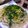 のこのこあっぷる's cooksnap of when they made ✿✿ツナみぞれの冷製パスタ✿✿.