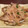 sayoco's cooksnap of when they made アジの南蛮漬け.