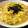 おらんでう～たん's cooksnap of when they made カニカマとひらたけの卵とじ.