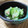 えみんちゅ＊'s cooksnap of when they made 梅わさび味☆ツナときゅうりの和え物.