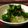おらんでう～たん's cooksnap of when they made セロリの葉と塩昆布のゆかり漬け.