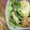 トクライ's cooksnap of when they made きのこの青海苔バター醤油.