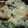 ダビデ's cooksnap of when they made ふわふわ！出し巻き風☆絶品和風オムレツ.