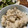クックP5NNN7☆'s cooksnap of when they made 簡単！生姜と白だし香る舞茸の炊き込みご飯.