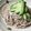 ぽろん５２６'s cooksnap of when they made SOBAサラダ.