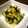 kurukurumin's cooksnap of when they made テンヨの白だしのみ、シンプルな青じそ漬け.