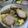 ひまわりさくら's cooksnap of when they made 柔らかジューシー煮豚.