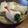 ＢＵＴＴＯＮ3's cooksnap of when they made かいわれハムの♦ロールサンド◆･..