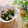 悠おかしゃん's cooksnap of when they made おいしいよ★ほうれん草！.