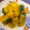 りんたろーう's cooksnap of when they made 我が家のかぼちゃの煮物.