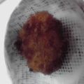 ミーラン's cooksnap of when they made 絶品！クリームコロッケ.