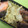 ＊ｈａｎａｃａｆｅ＊'s cooksnap of when they made お弁当に♪キャベツのマヨ炒め.