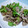 しゅんぺいのママ's cooksnap of when they made 豚肉と緑野菜のハニーマヨ炒め.