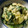 maruru-nn's cooksnap of when they made 春菊と豆腐の卵とじ.