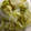 maruru-nn's cooksnap of when they made ☆蒸し焼きキャベツのお好み焼き風☆.