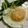 maruru-nn's cooksnap of when they made アスパラのソテー　半熟目玉焼き添え.