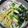 まぶたん's cooksnap of when they made サッパリ簡単・冷たいうどん.
