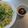 ゆりYO船長's cooksnap of when they made 中華ささみくらげ・凉拌鸡肉海蛰皮.
