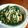 桃がいいなあ。's cooksnap of when they made 柔らかインゲンのチーズ焼き～♪.