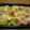 Match's cooksnap of when they made じゃがベーコンのチーズ焼き.