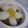 kaopomme♪'s cooksnap of when they made ✿簡単お花のデコカレー✿.