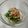 まさヒロ's cooksnap of when they made 簡単♪おかひじきの和風マヨ味♪.