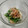 まさヒロ's cooksnap of when they made 簡単♪おかひじきの和風マヨ味♪.
