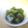 yamita's cooksnap of when they made アガーで緑茶ゼリー.