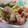 yappyパクパク's cooksnap of when they made 簡単☆梅しその豚肉巻き.