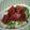 ピンクのたまご's cooksnap of when they made お腹満足♪パリパリまぐろ丼.