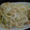 myukitty's cooksnap of when they made 節約・簡単！おいしいもやし炒め.