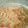 ﾌﾟｰｽｹ's cooksnap of when they made ★シンプル★簡単！卵と玉ねぎ炒め♪.