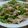 myukitty's cooksnap of when they made ゴーヤと豚肉の塩炒め.