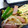 yukiはぴ's cooksnap of when they made キュウリとハムの中華炒め.