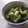 きらり流れ星's cooksnap of when they made やっぱ　こぶ茶ってうまい　きゅうり簡単漬.