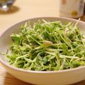 ケチャ＆ウル's cooksnap of when they made 豆苗とツナのピリ辛サラダ.