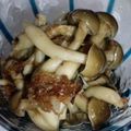 booiku's cooksnap of when they made しめじのおひたし.
