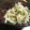 みゅう１５'s cooksnap of when they made 大根の梅和え.