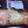 pulp1211's cooksnap of when they made 簡単新ショウガのがり.