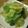 ぶーにゃんM's cooksnap of when they made レタスの湯びき.