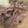 aoys's cooksnap of when they made 甘めのしょうが焼き☆.