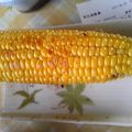 ひめありす's cooksnap of when they made 自宅で屋台の味＊焼きとうもろこし.