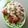 cosmoship's cooksnap of when they made 冷しゃぶ.
