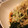 rakuen's cooksnap of when they made 簡単★まろやかな冷やし中華のタレ.