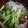 ◎ゆー◎'s cooksnap of when they made ダイエットに！簡単ヘルシーしらたき冷麺.