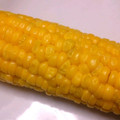 amy_mako's cooksnap of when they made この夏はレンジで☆ゆでとうもろこし.