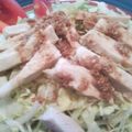 アトランタの夏's cooksnap of when they made 白菜のバンバンジー風サラダ.