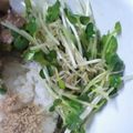 プンプン庵's cooksnap of when they made きゅうりとかいわれのサッパリ箸やすめ.